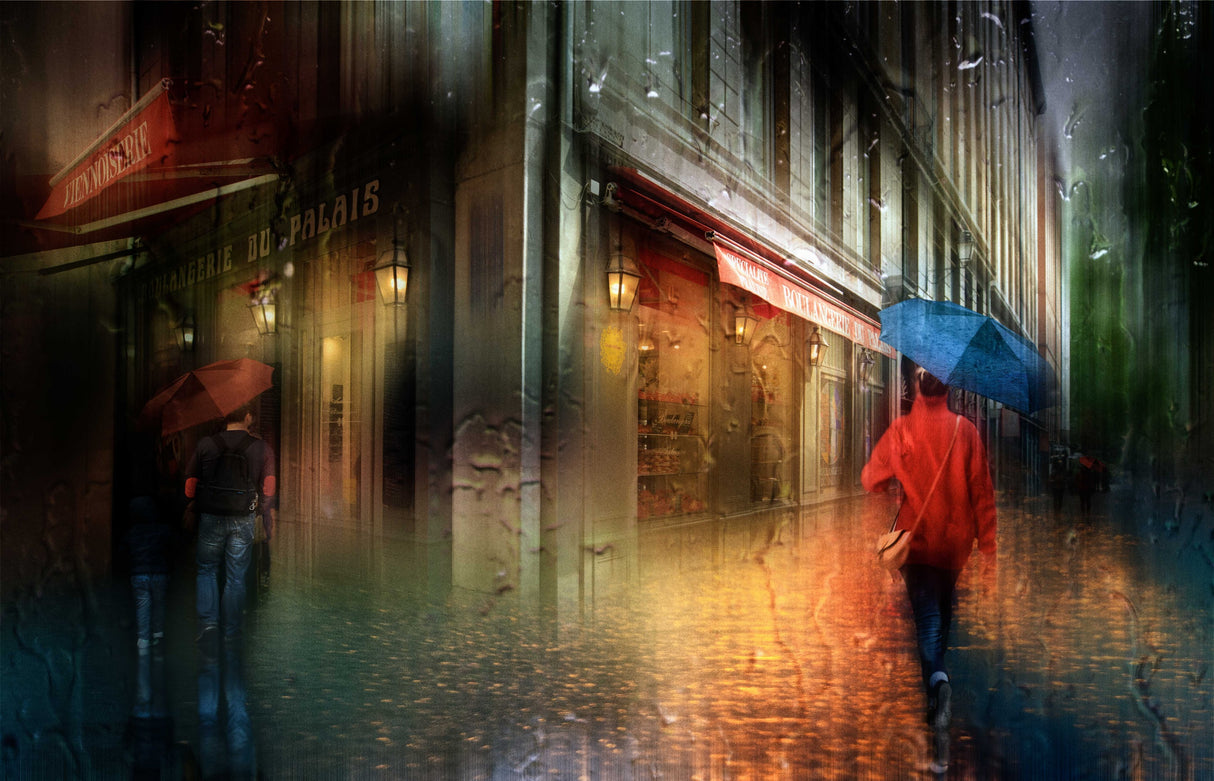 The rainy streets of Lyon... Poster och Canvastavla