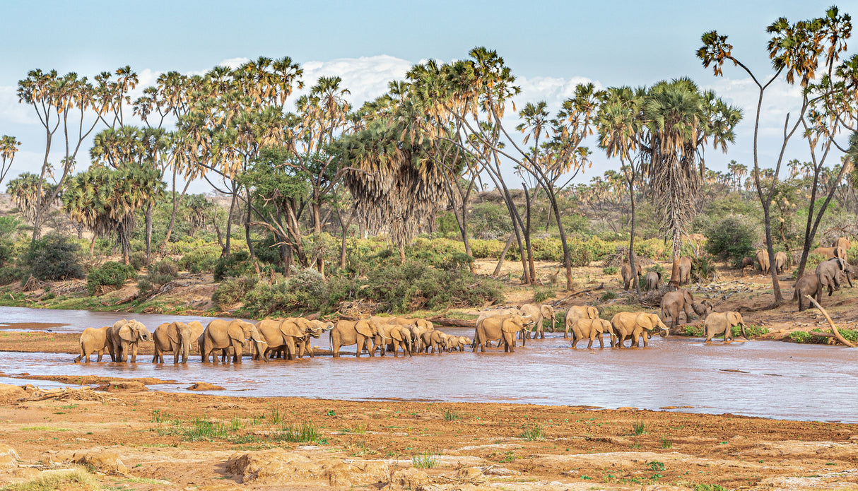 Why go to East Africa? Poster och Canvastavla