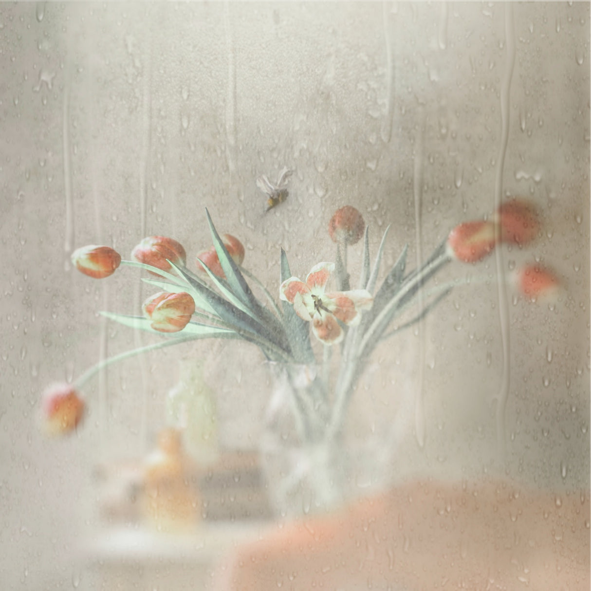 Unexpected Rain Poster och Canvastavla