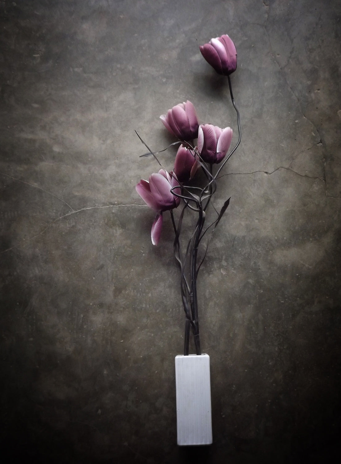 The Purple Tulip Poster och Canvastavla