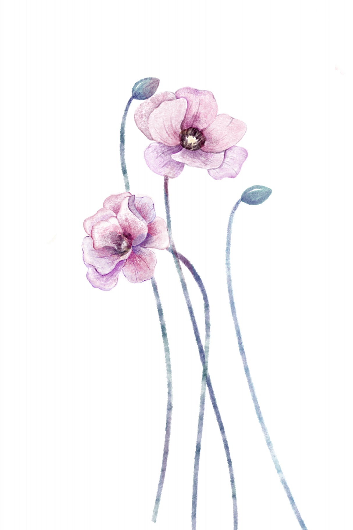 Pastel poppy flower Poster och Canvastavla