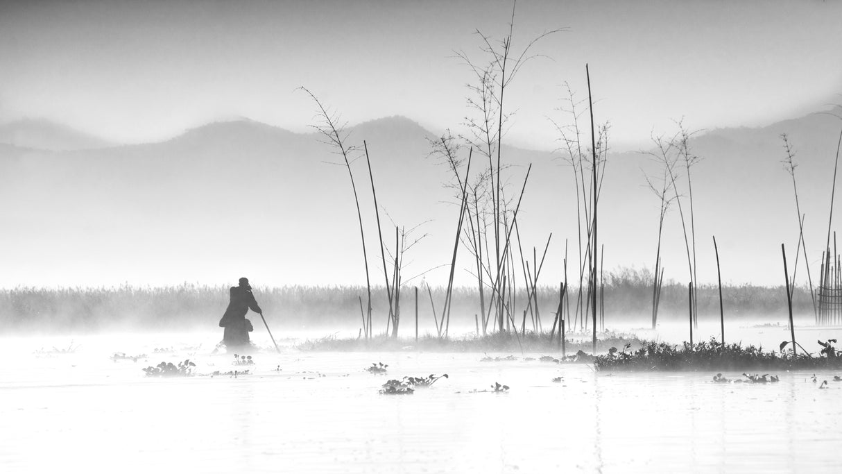 Fishing in a misty morning Poster och Canvastavla