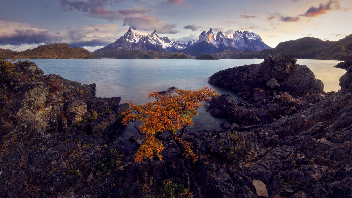 Patagonia Poster och Canvastavla