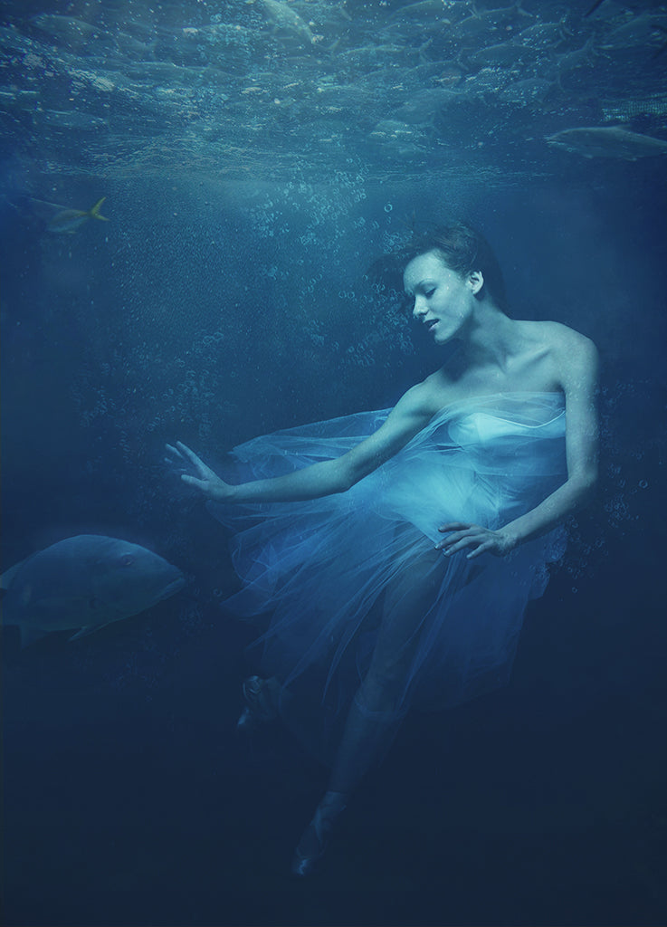 Waterplay ballet 6 Poster och Canvastavla