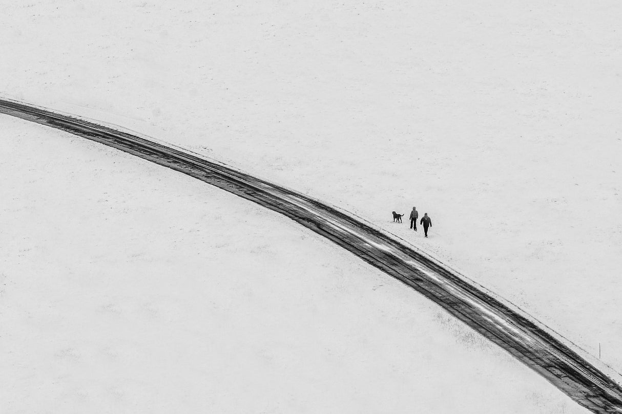 Way in winter Poster och Canvastavla