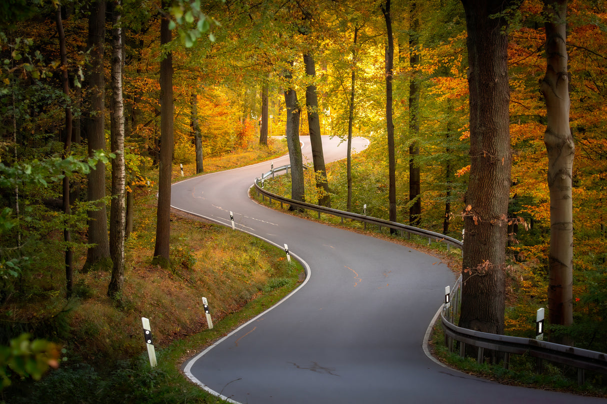 winding road Poster och Canvastavla