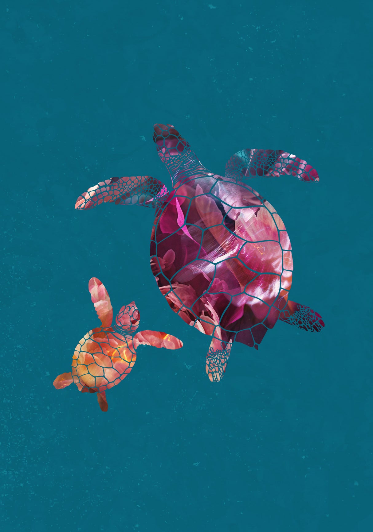 Colourful Turtles Poster och Canvastavla