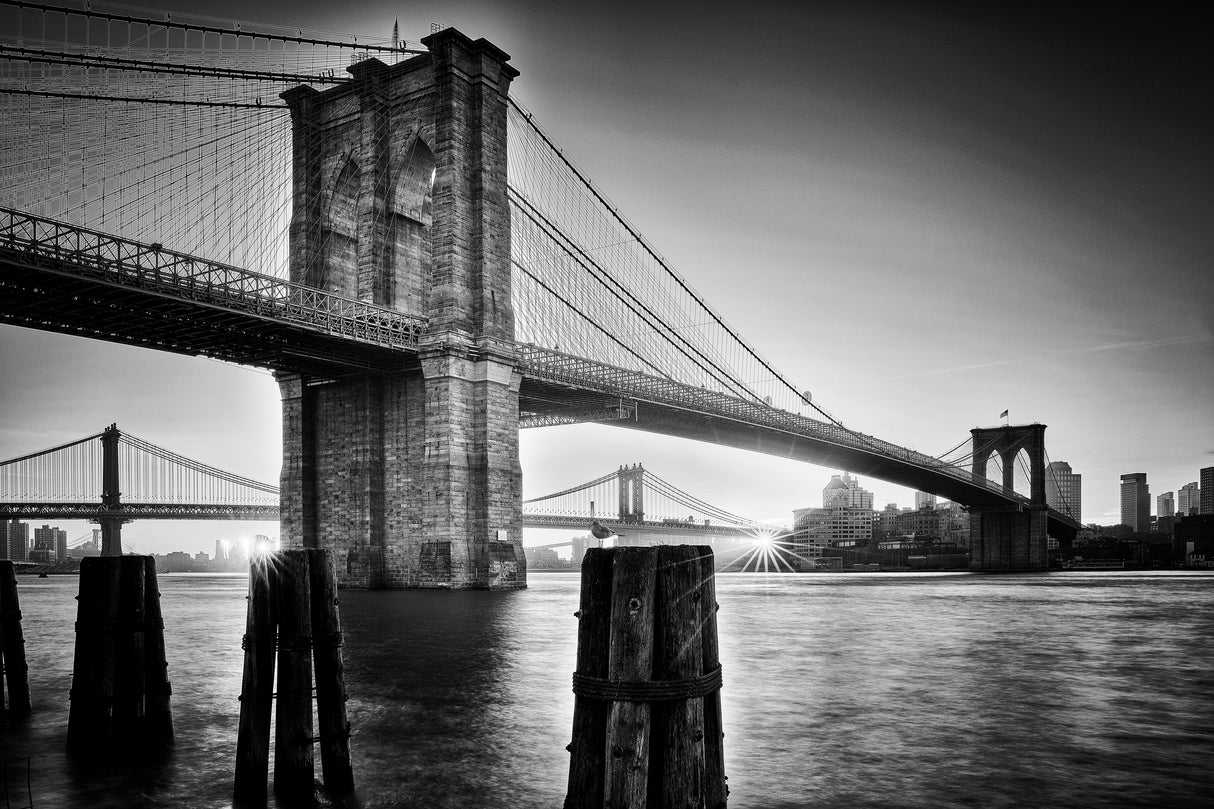 Brooklyn Bridge - sunrise Poster och Canvastavla