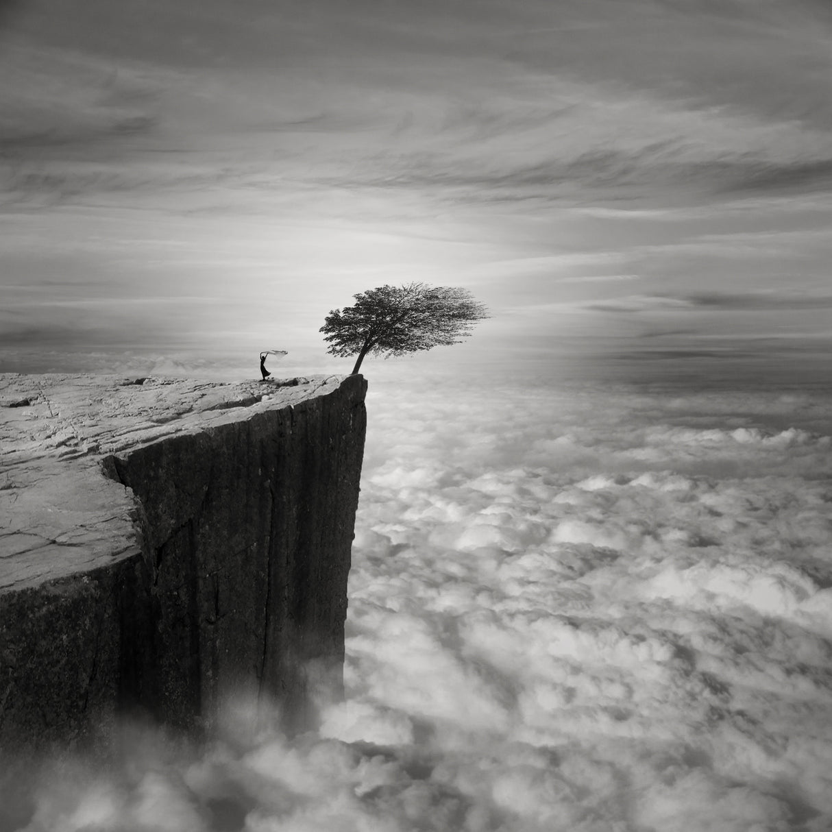 Above the clouds Poster och Canvastavla