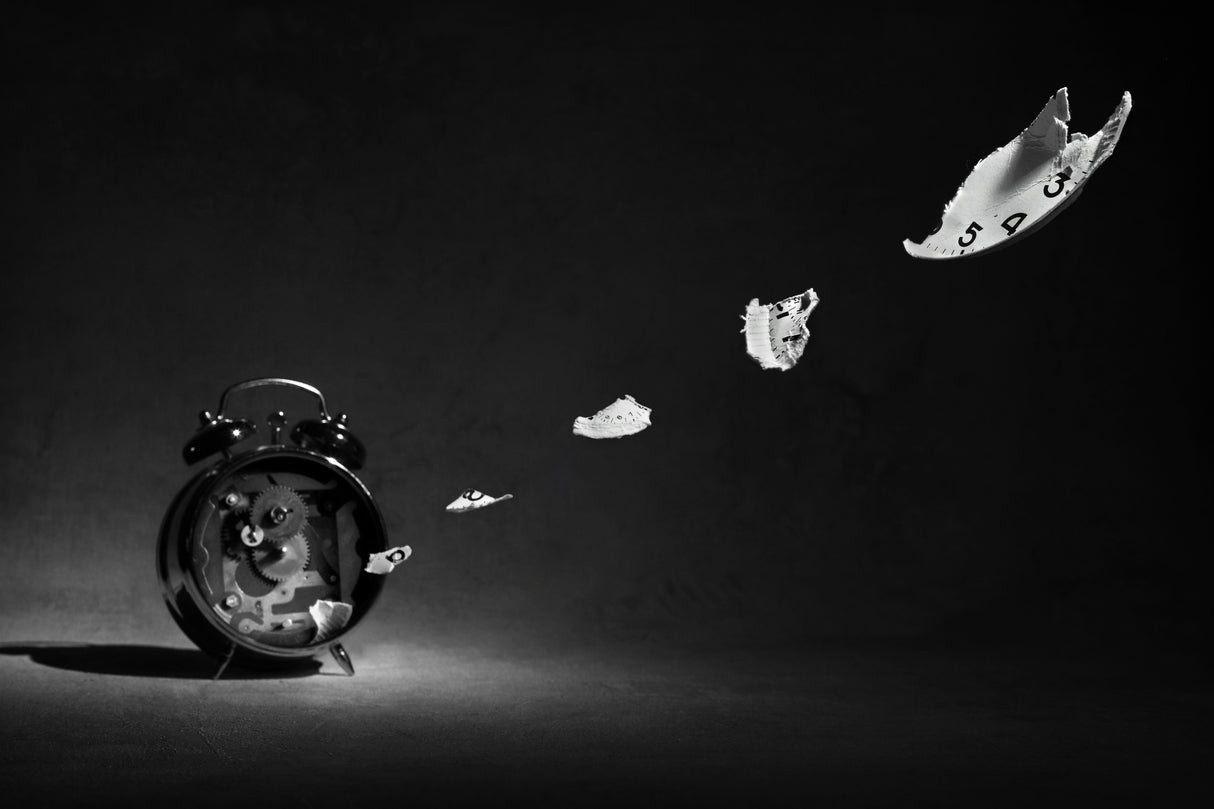 Time flies Poster och Canvastavla