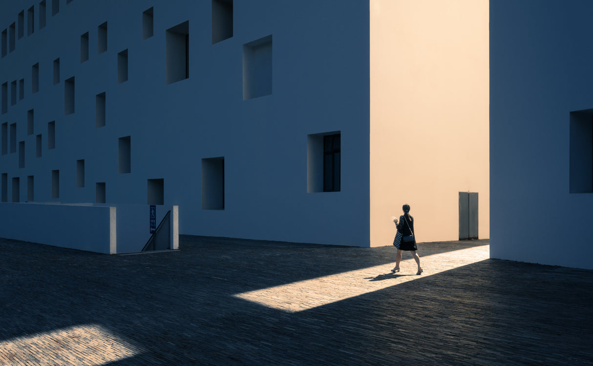 Cross the Light Poster och Canvastavla