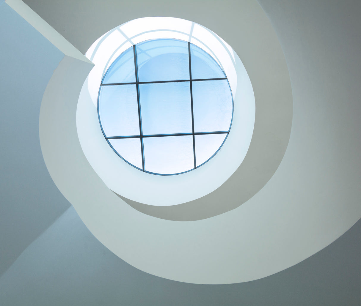 Looking Up Poster och Canvastavla