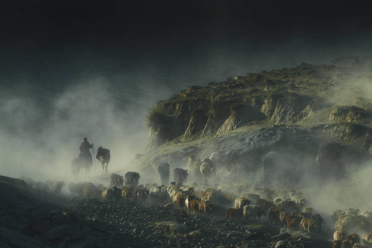 The way Poster och Canvastavla