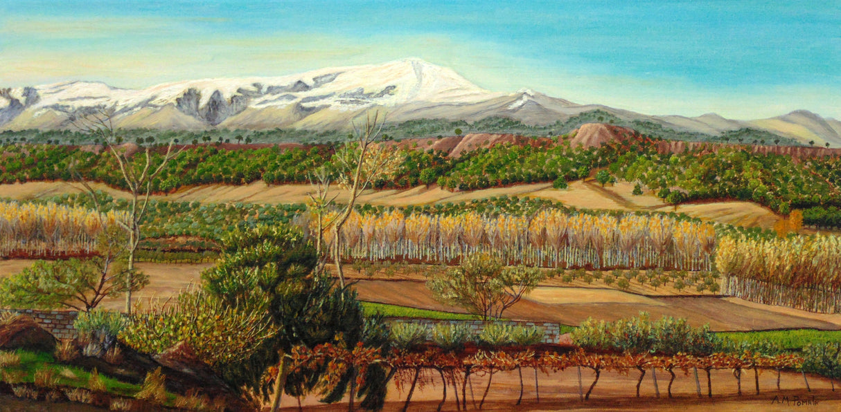 Vineyard Valley In the Sierra Nevada Surroundings Poster och Canvastavla