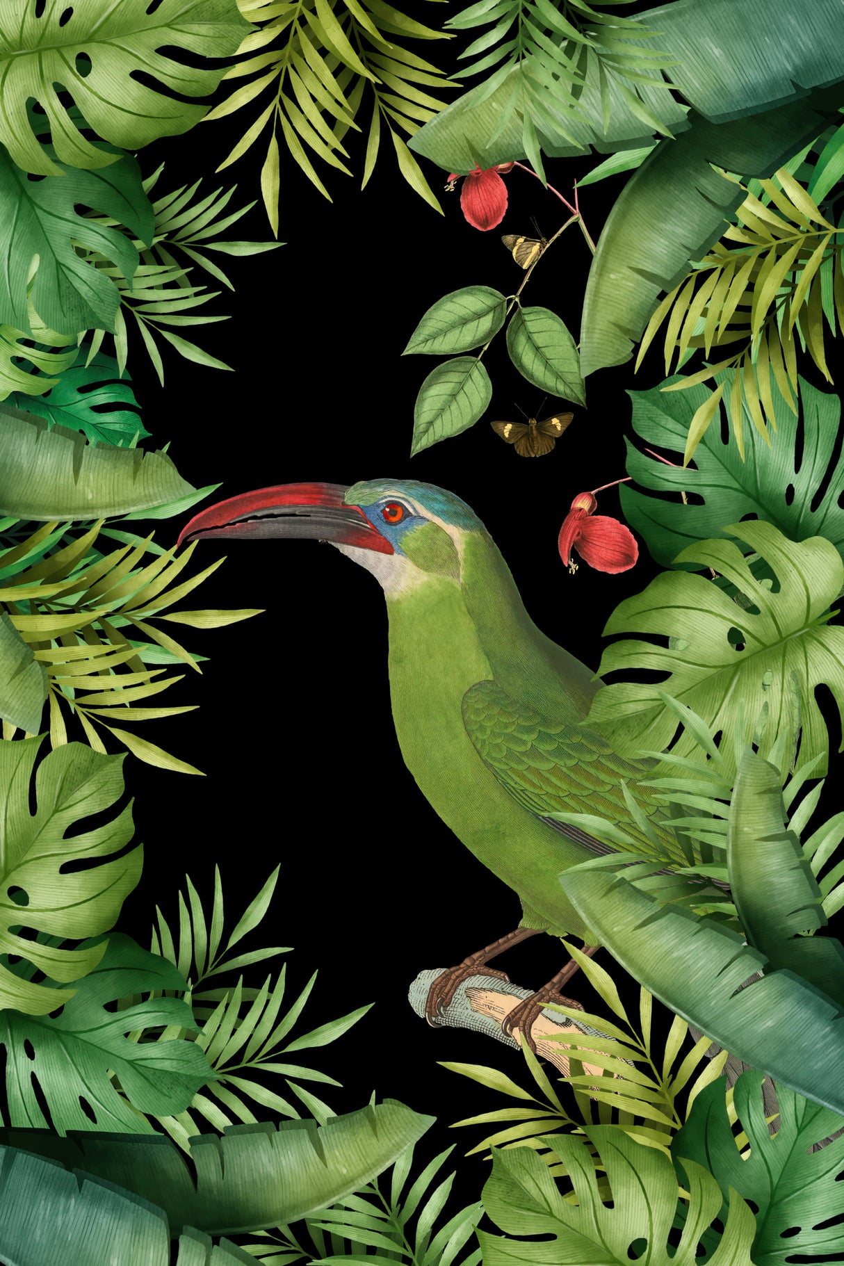 Jungle With Green Toucan Poster och Canvastavla