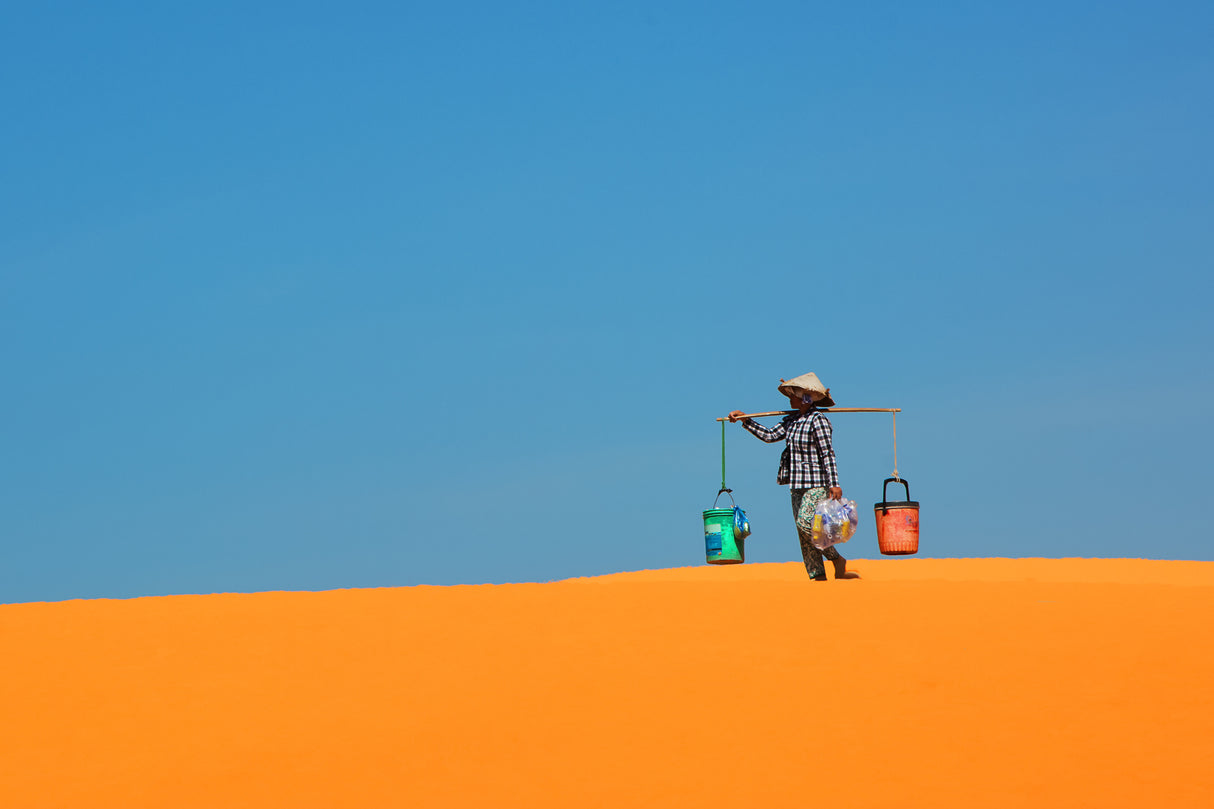 Keeping The Sand Dunes Clean Poster och Canvastavla