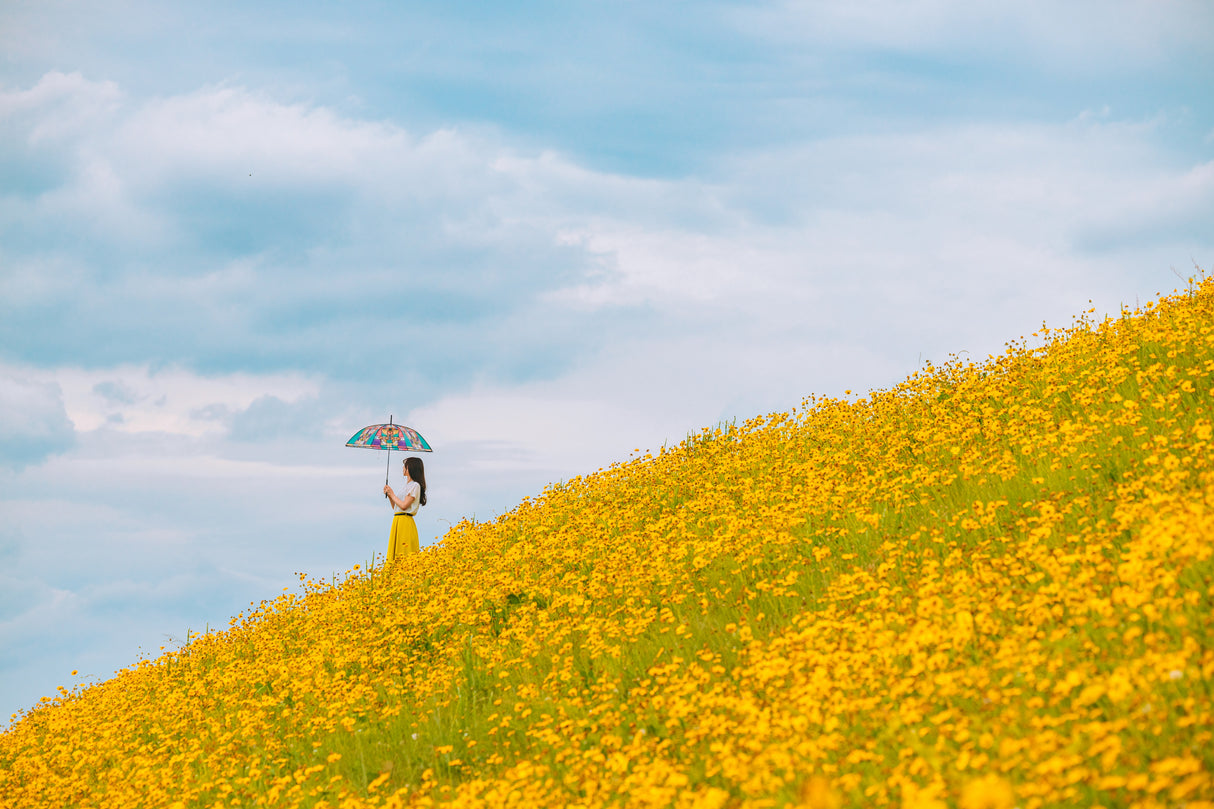 Yellow hills. wait for the rain Poster och Canvastavla