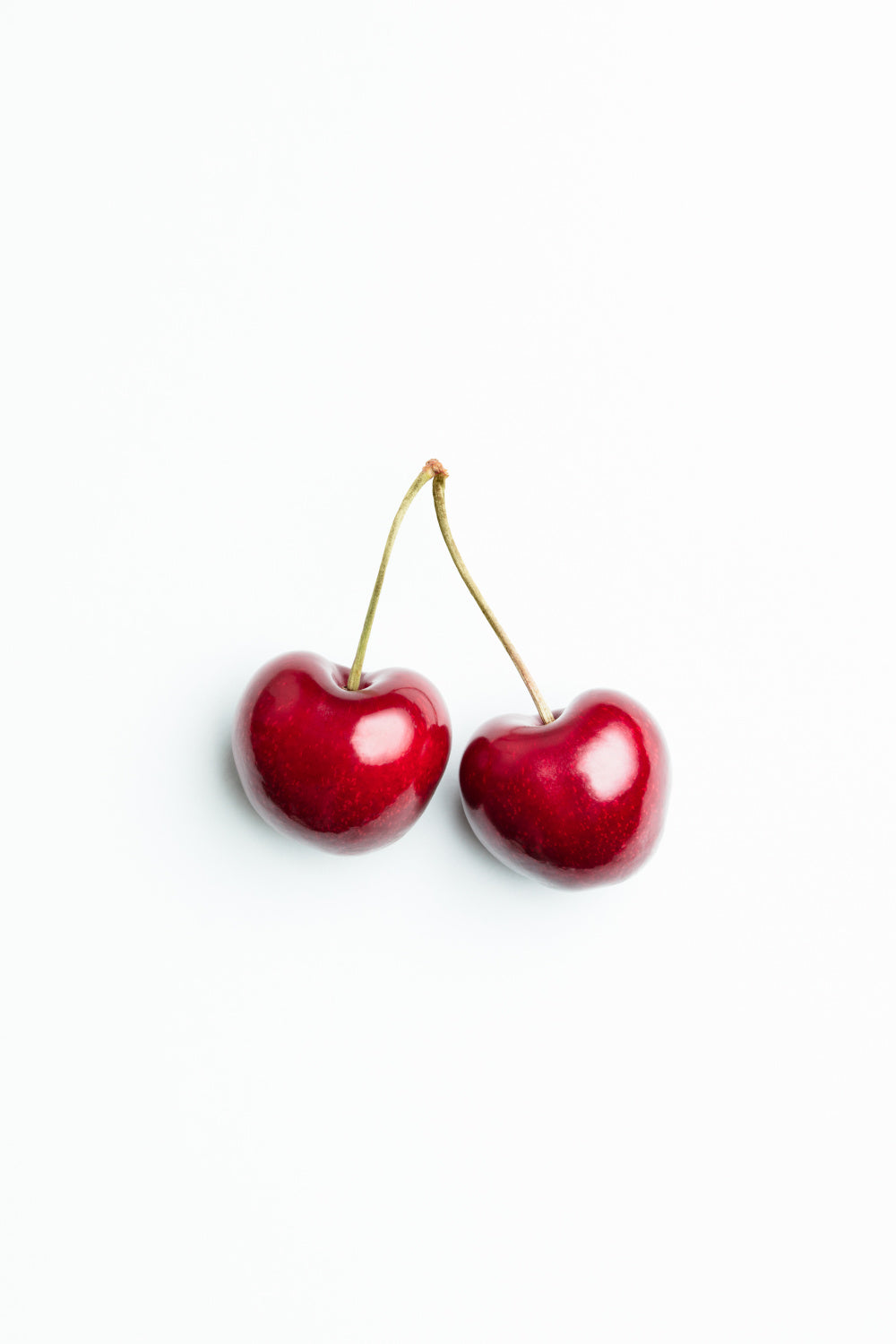 Pair of cherries Poster och Canvastavla