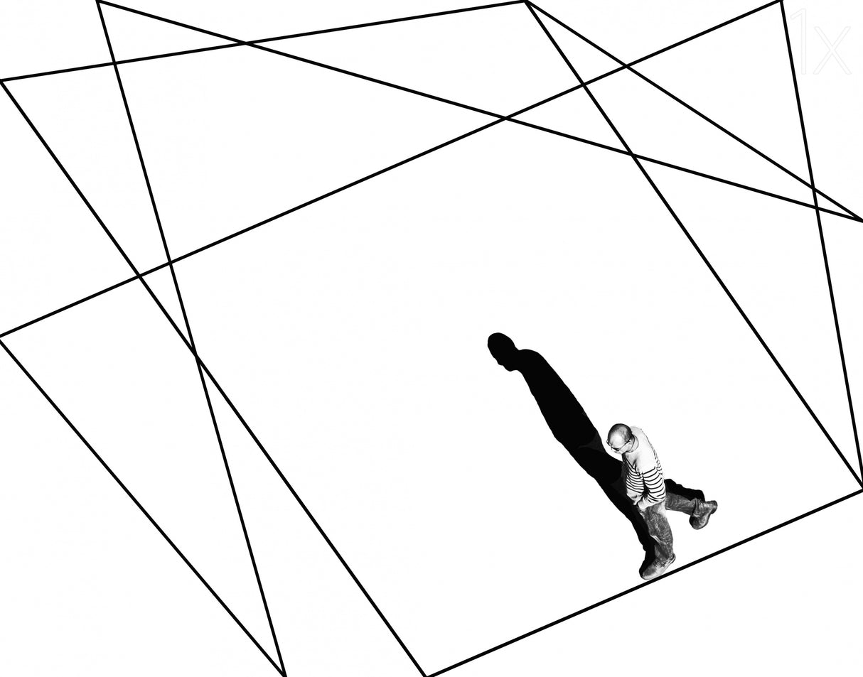 Line and Shadow Poster och Canvastavla
