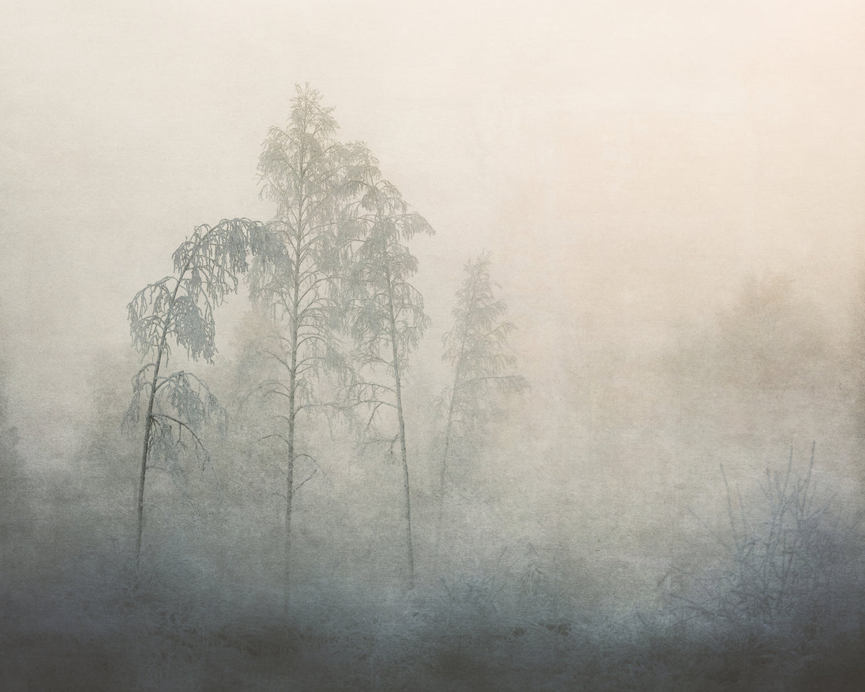 - 20 Poster och Canvastavla