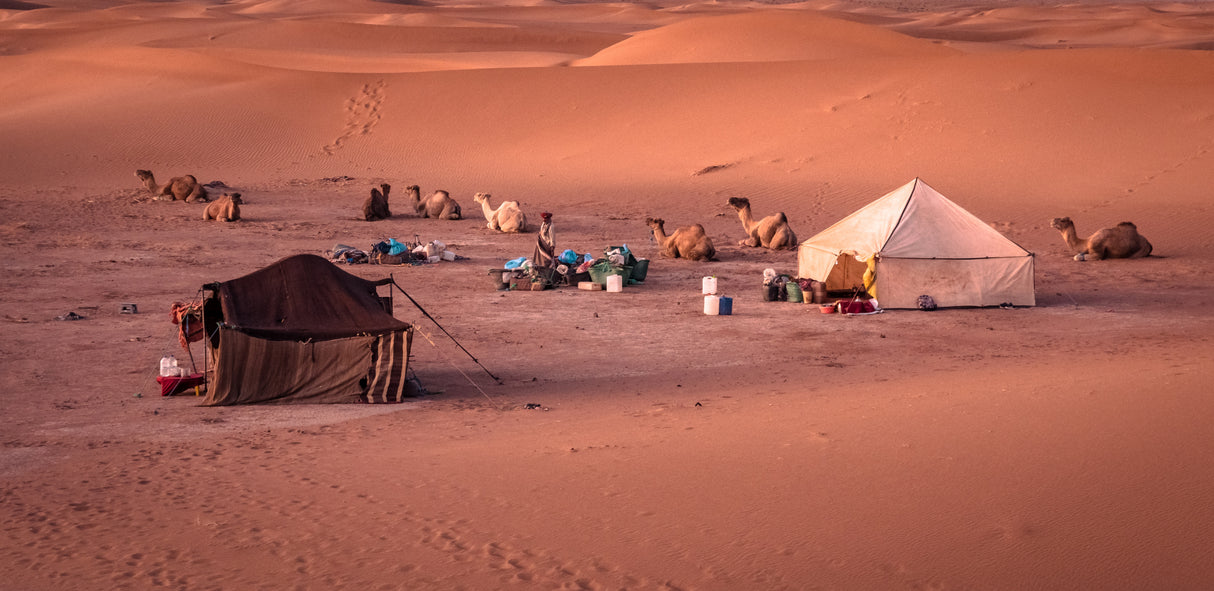 Nomadic Berber life Poster och Canvastavla