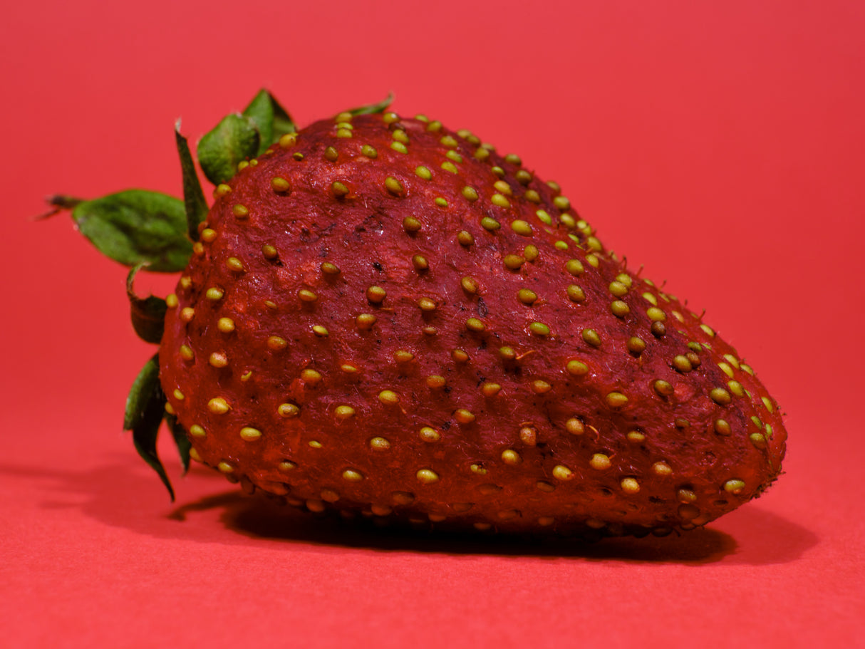 Strawberry isolated on red background Poster och Canvastavla