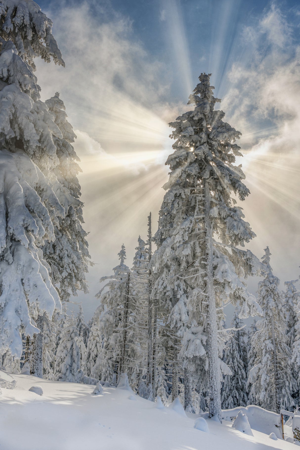 Divine lights Poster och Canvastavla