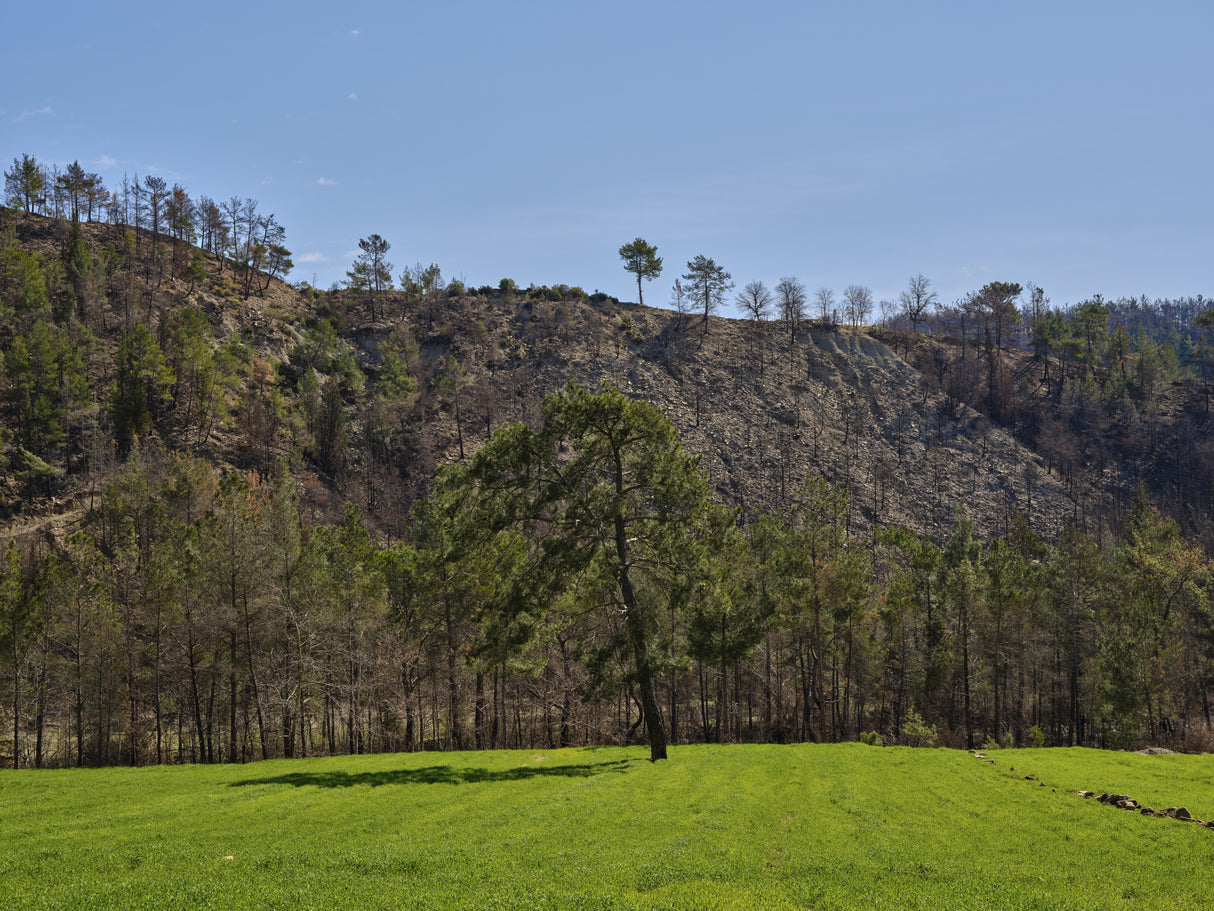 peaceful landscape in a rural place Poster och Canvastavla