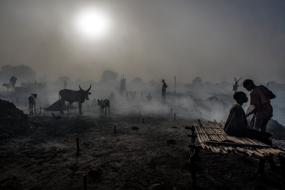 In a mundari cattle camp at dusk - South Sudan Poster och Canvastavla