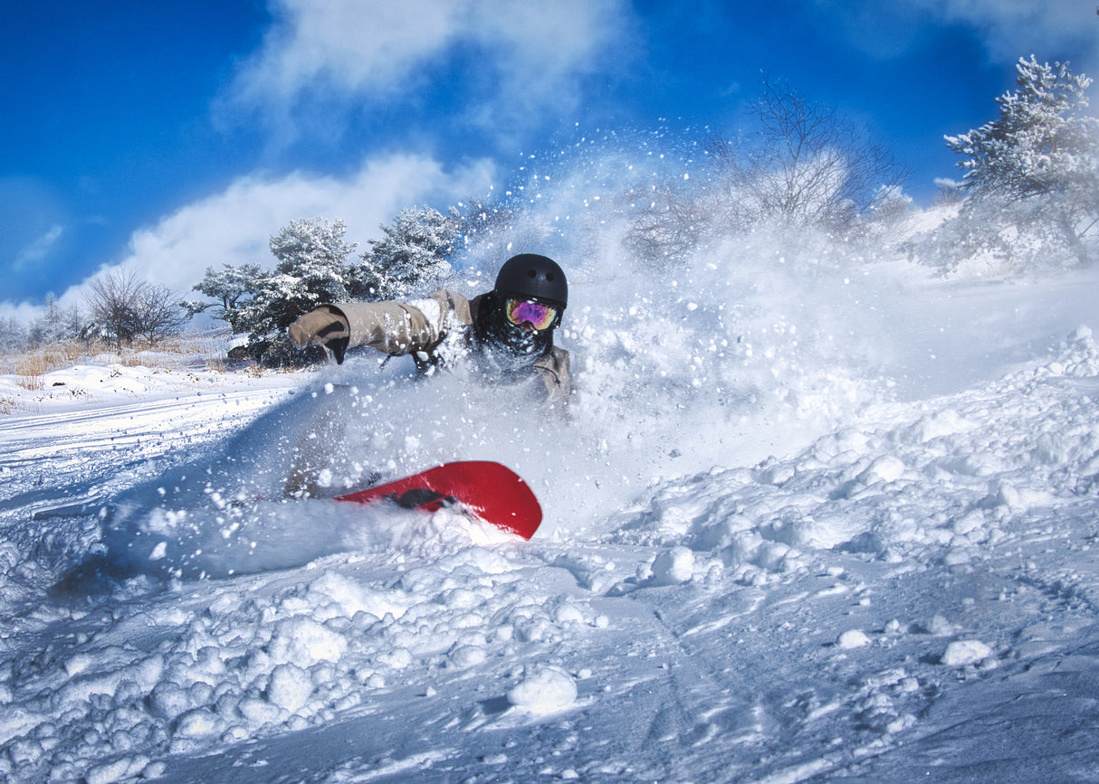 Snowborading Poster och Canvastavla