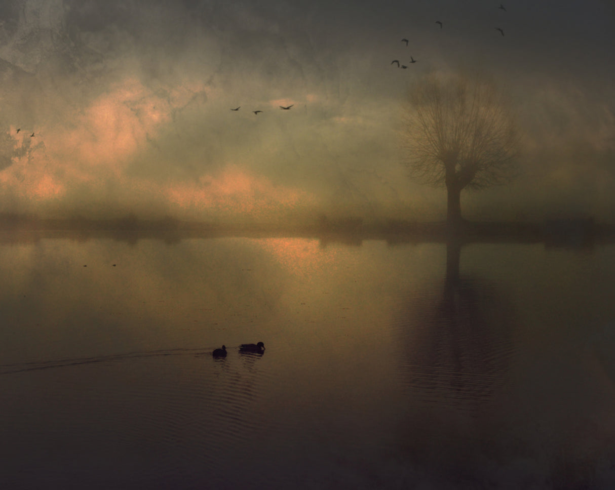 Some Days... Poster och Canvastavla