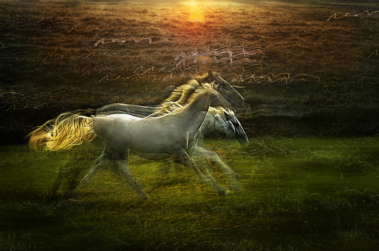 Dreamy way Poster och Canvastavla