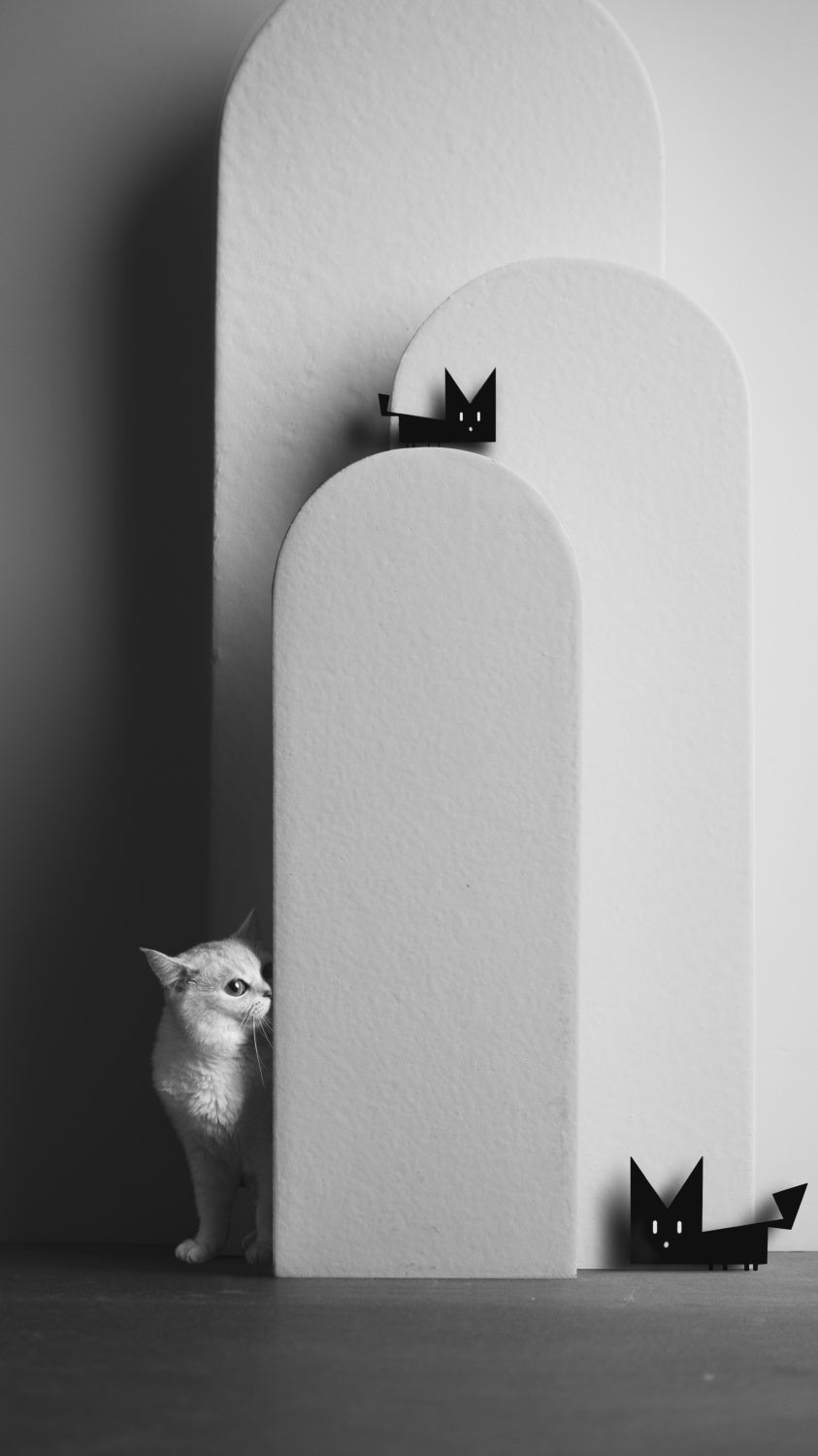 B&W Poster och Canvastavla