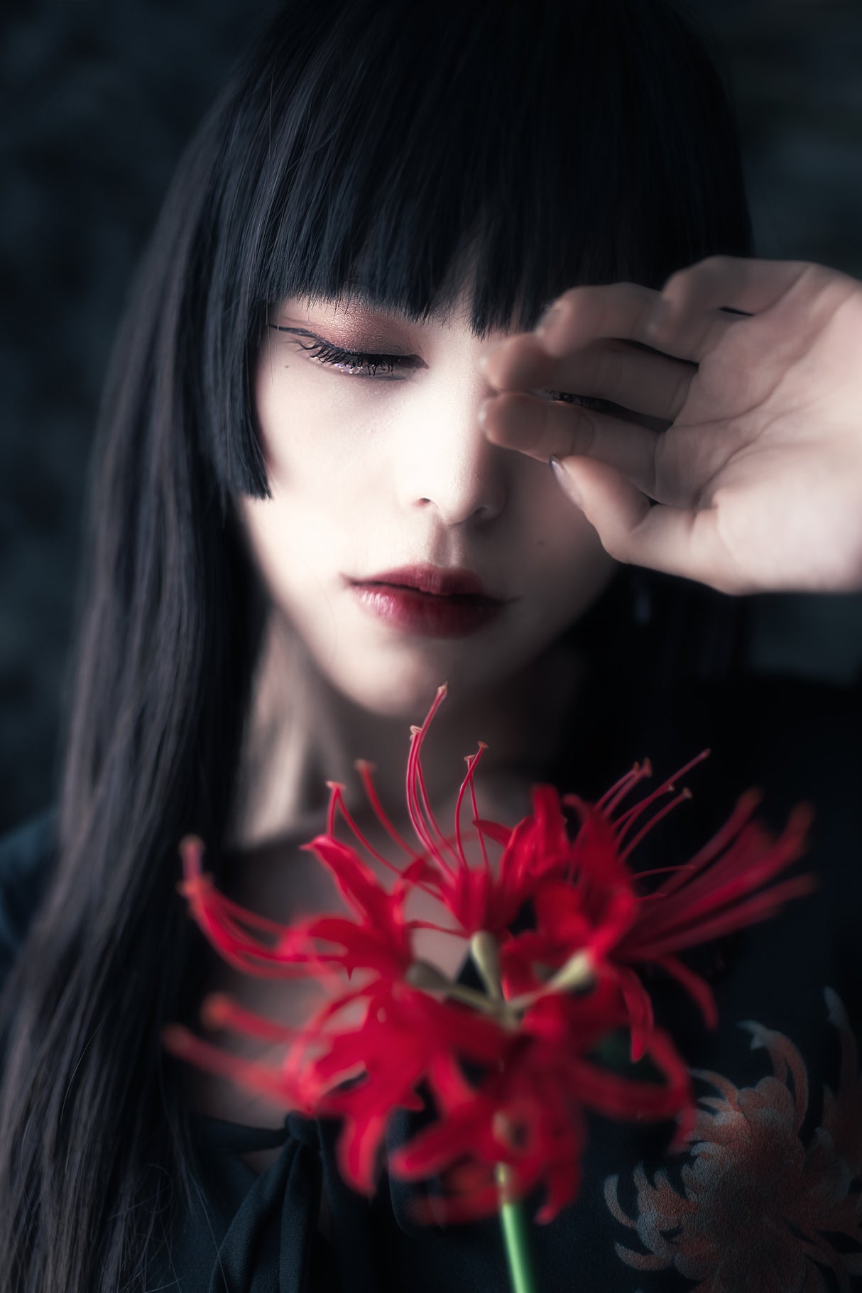 Cluster amaryllis Poster och Canvastavla