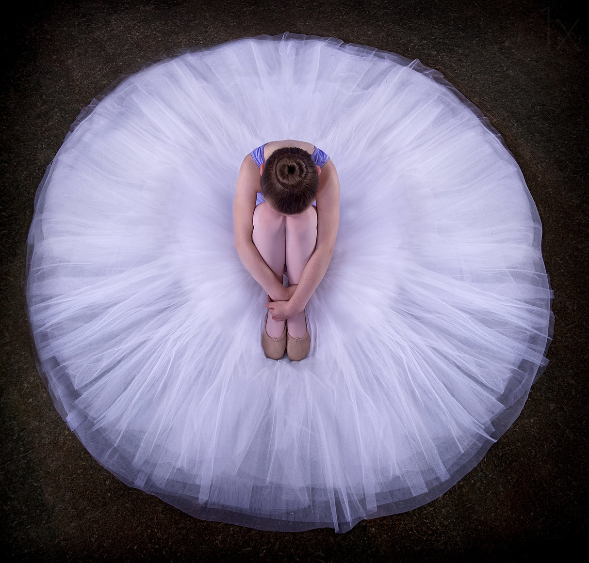 Young Ballerina Poster och Canvastavla