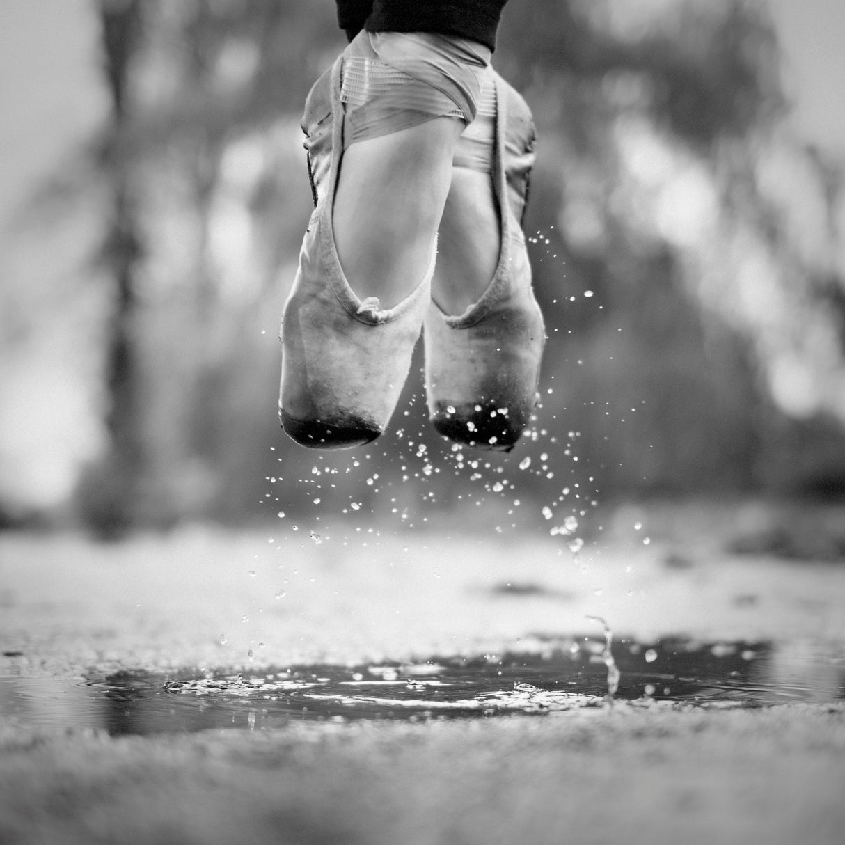The day we went jumping in puddles Poster och Canvastavla