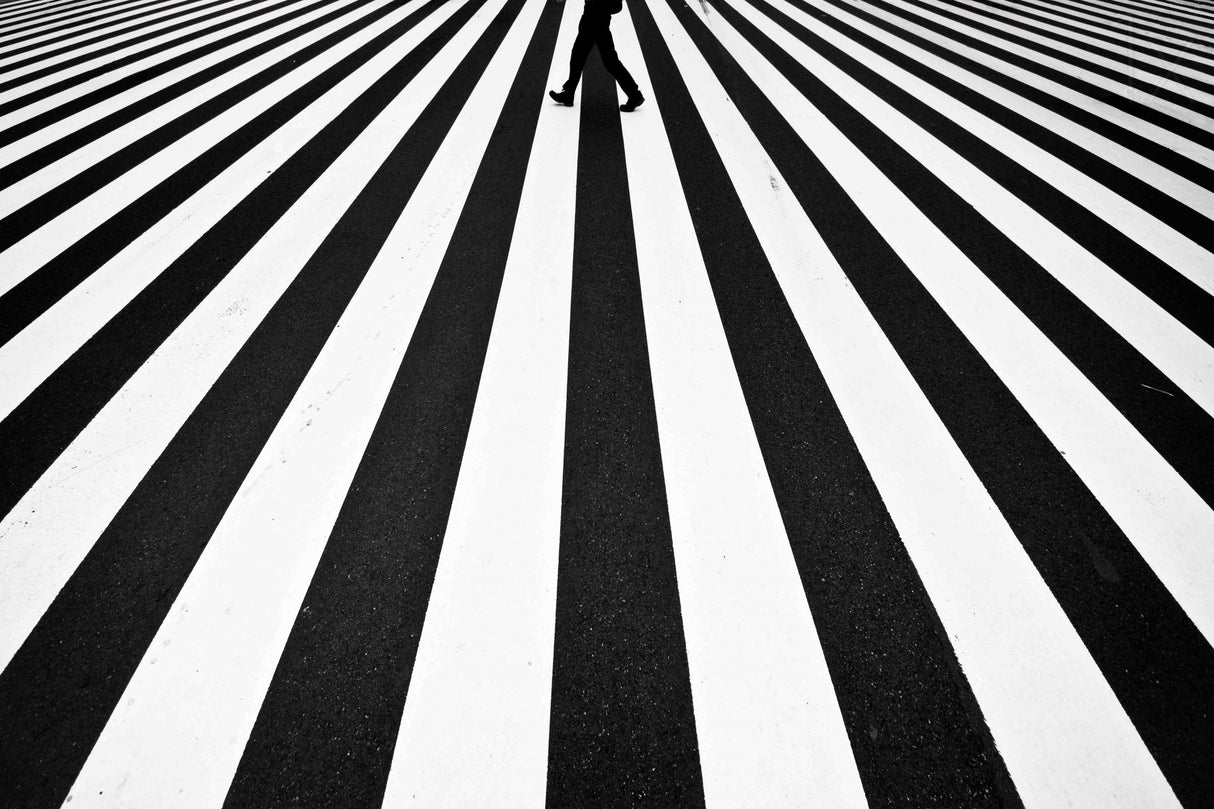 Stripe Poster och Canvastavla