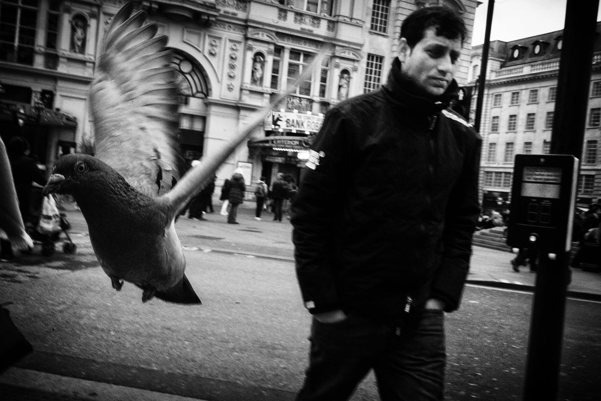 London Street 2017 Poster och Canvastavla