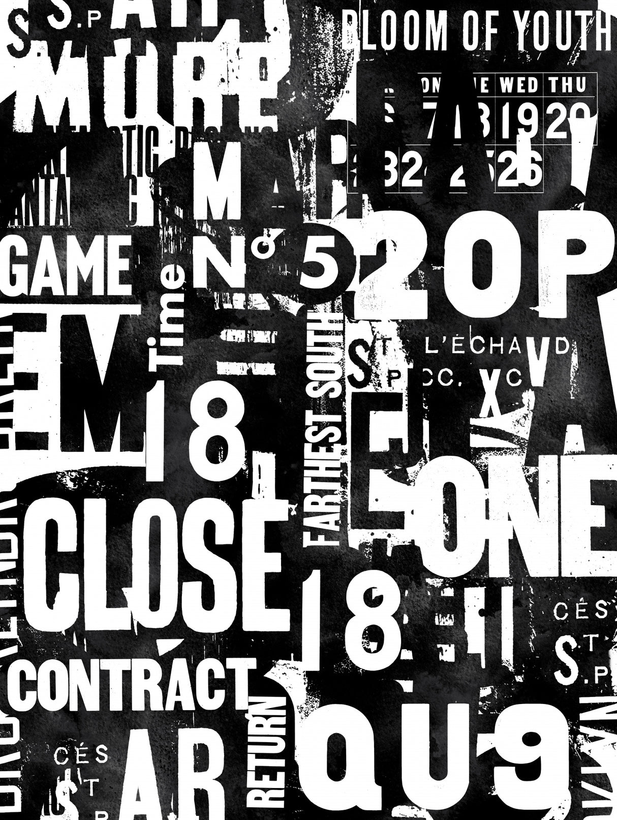 Typography Bw 002 Poster och Canvastavla