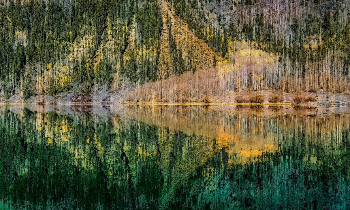 Reflection in the Lake Poster och Canvastavla
