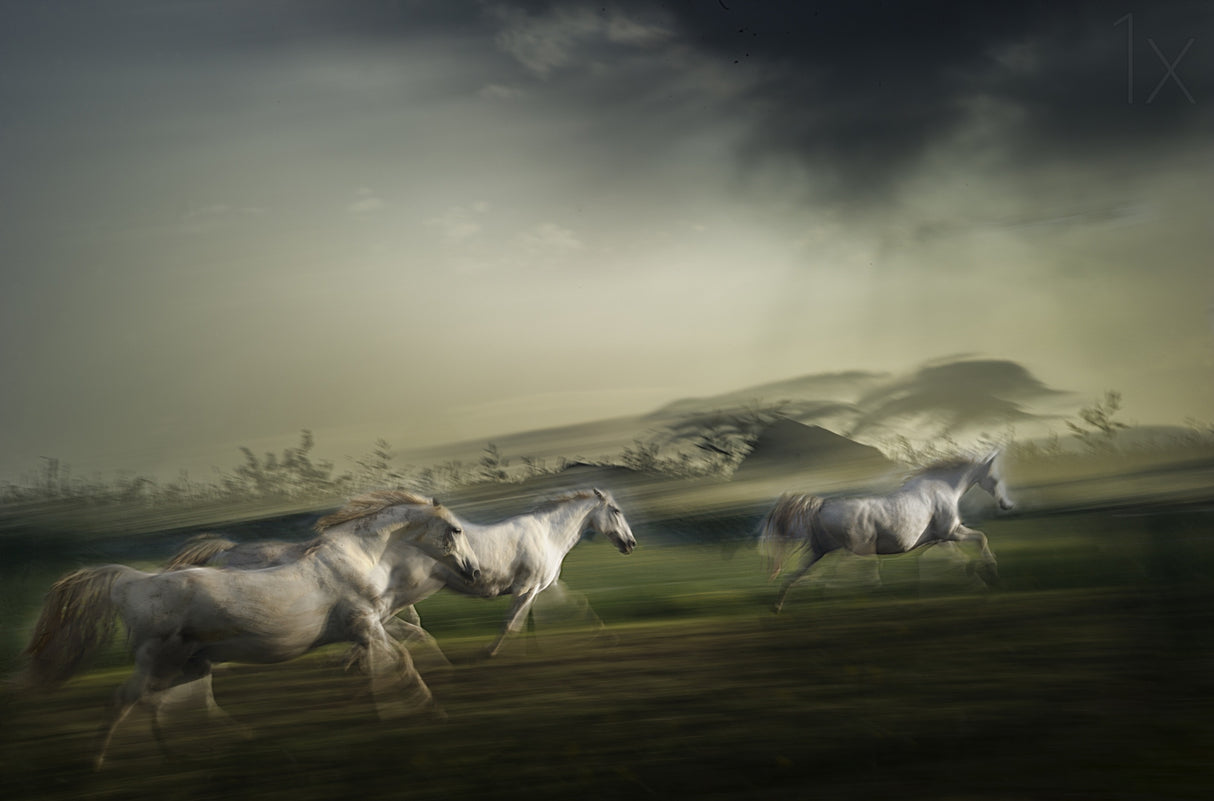 After the storm Poster och Canvastavla