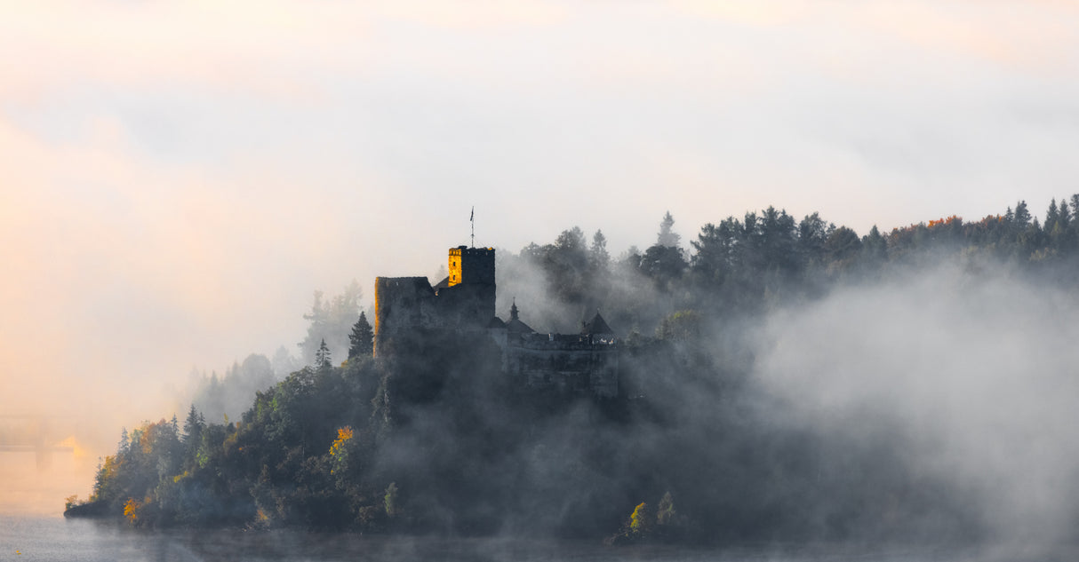 Foggy morning Poster och Canvastavla