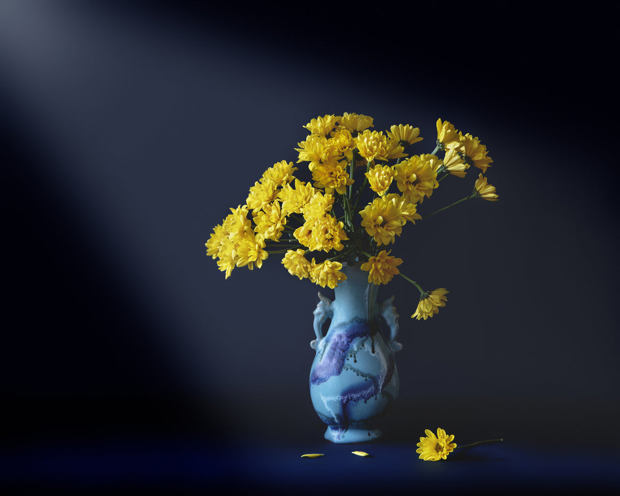 Yellow flowers Poster och Canvastavla