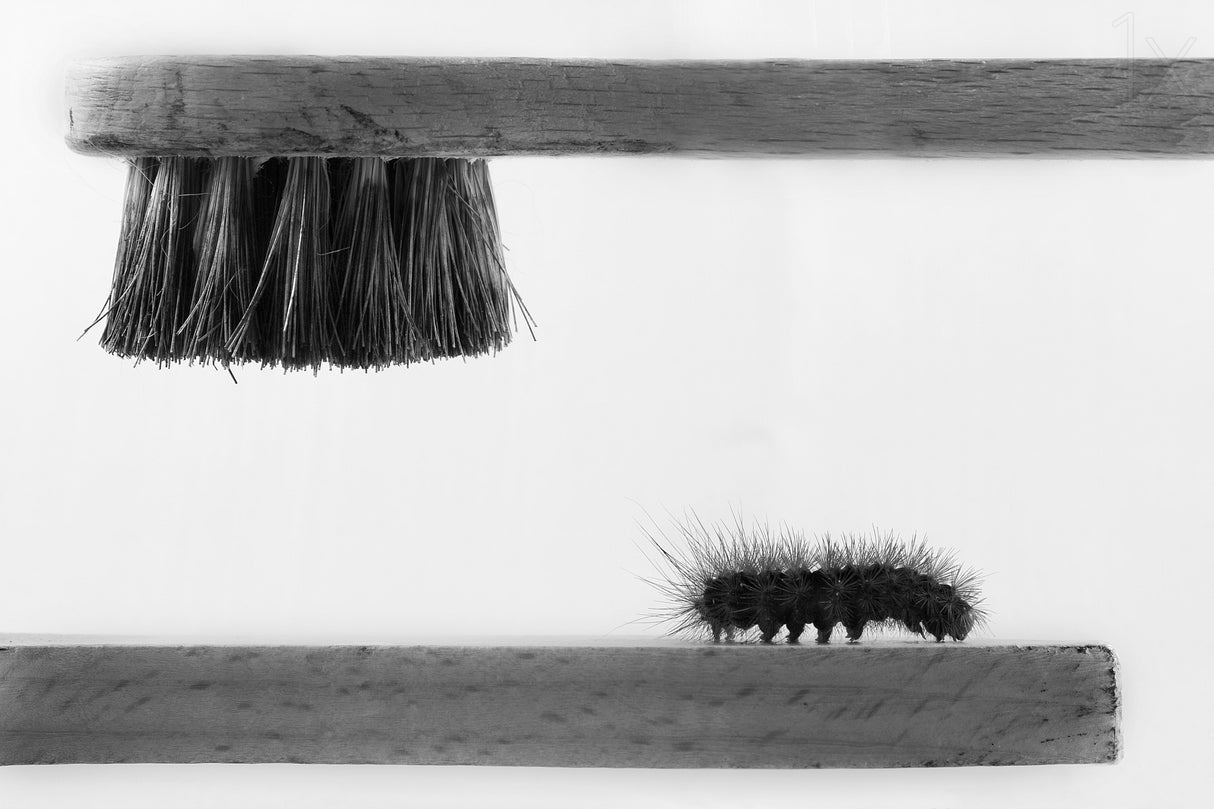 ...dear friend Poster och Canvastavla