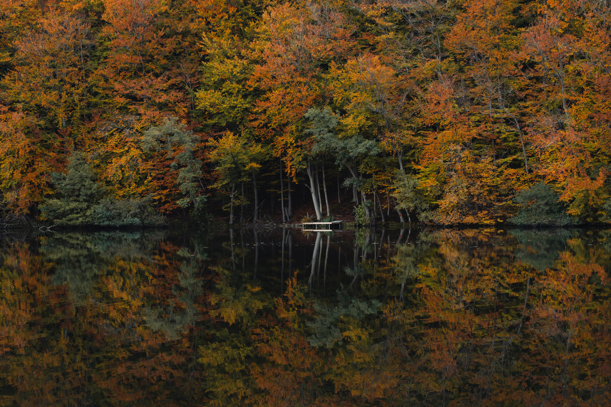 Autumn at the river Poster och Canvastavla