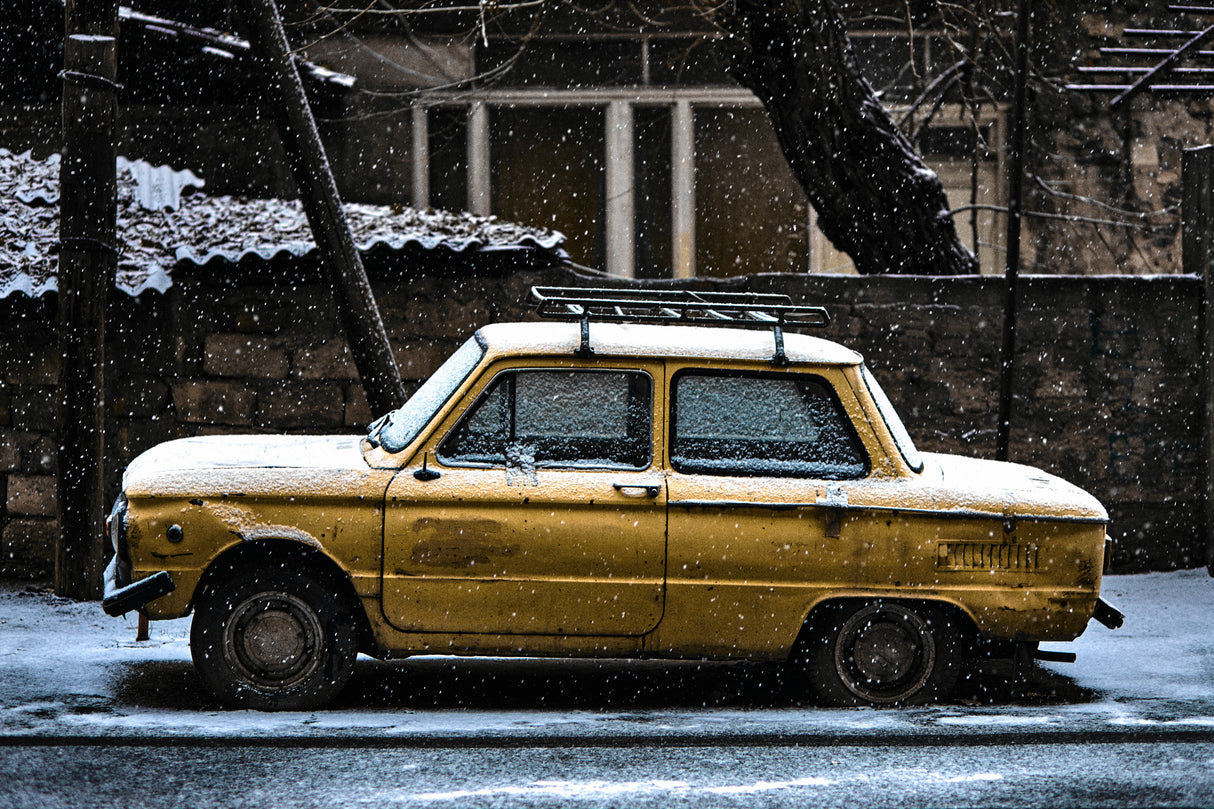 Zaporozhets Poster och Canvastavla