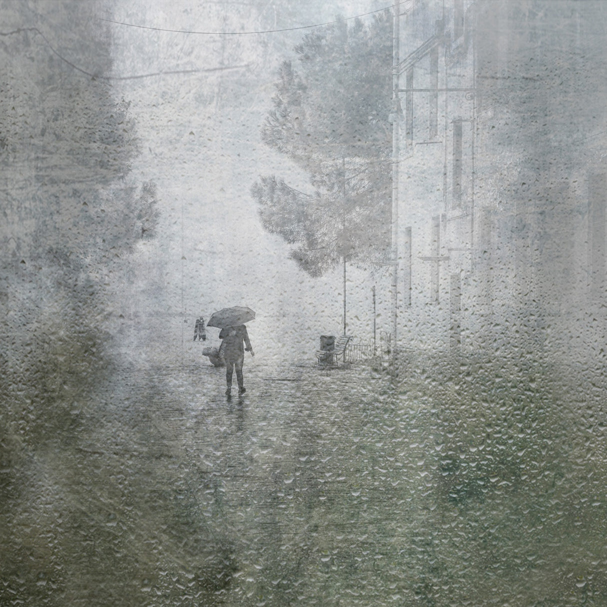 it's raining Poster och Canvastavla