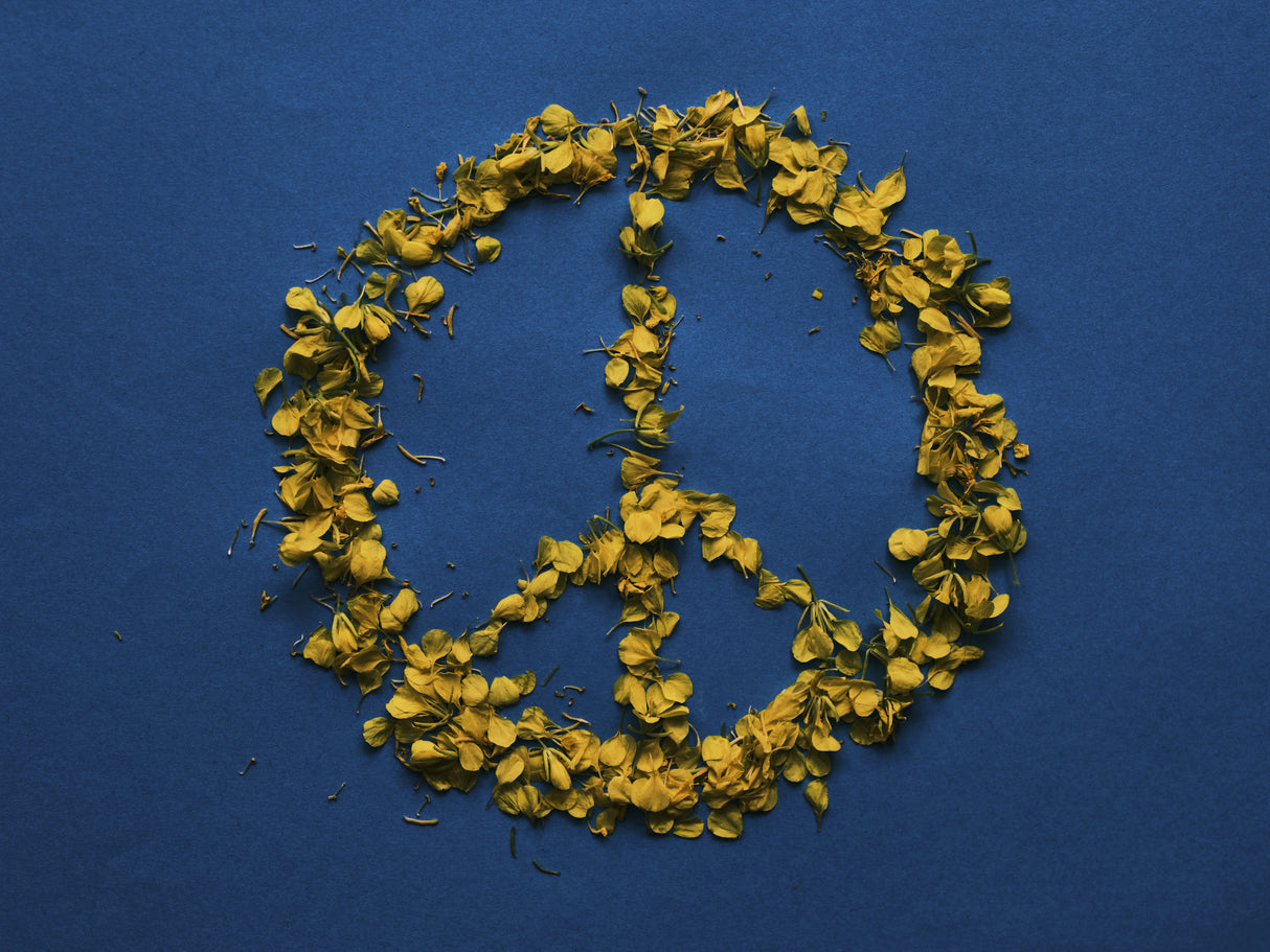 The colors of Ukraine and the symbol of peace Poster och Canvastavla