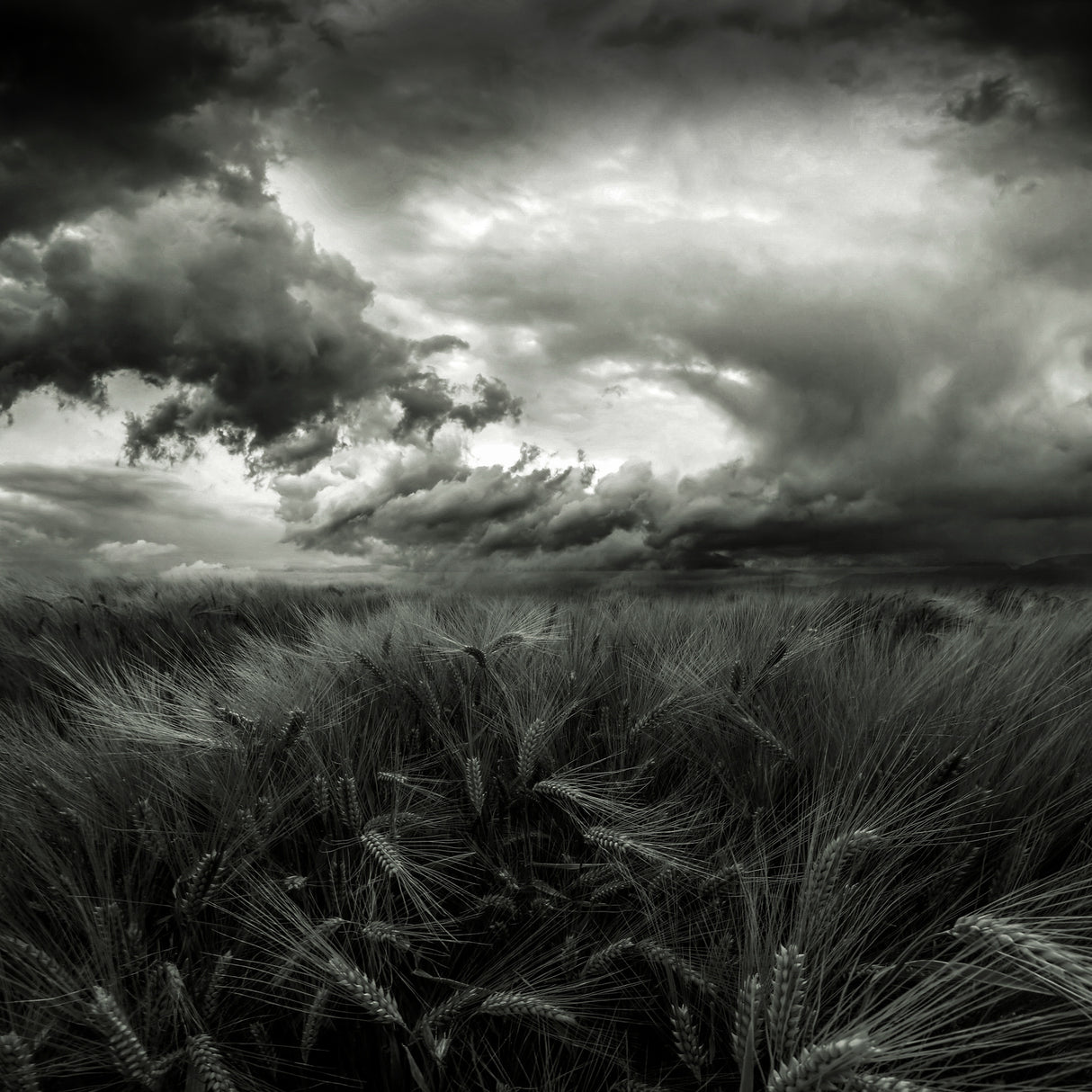 after the storm Poster och Canvastavla