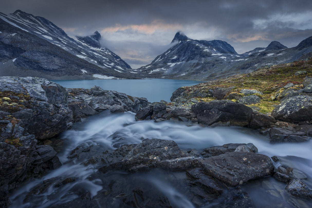 Fairyland Poster och Canvastavla